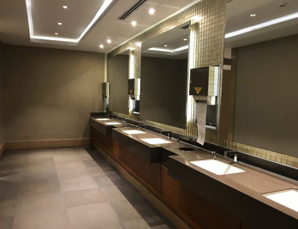Commercial Mirror Assembly